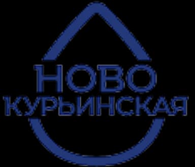 Новокурьинская